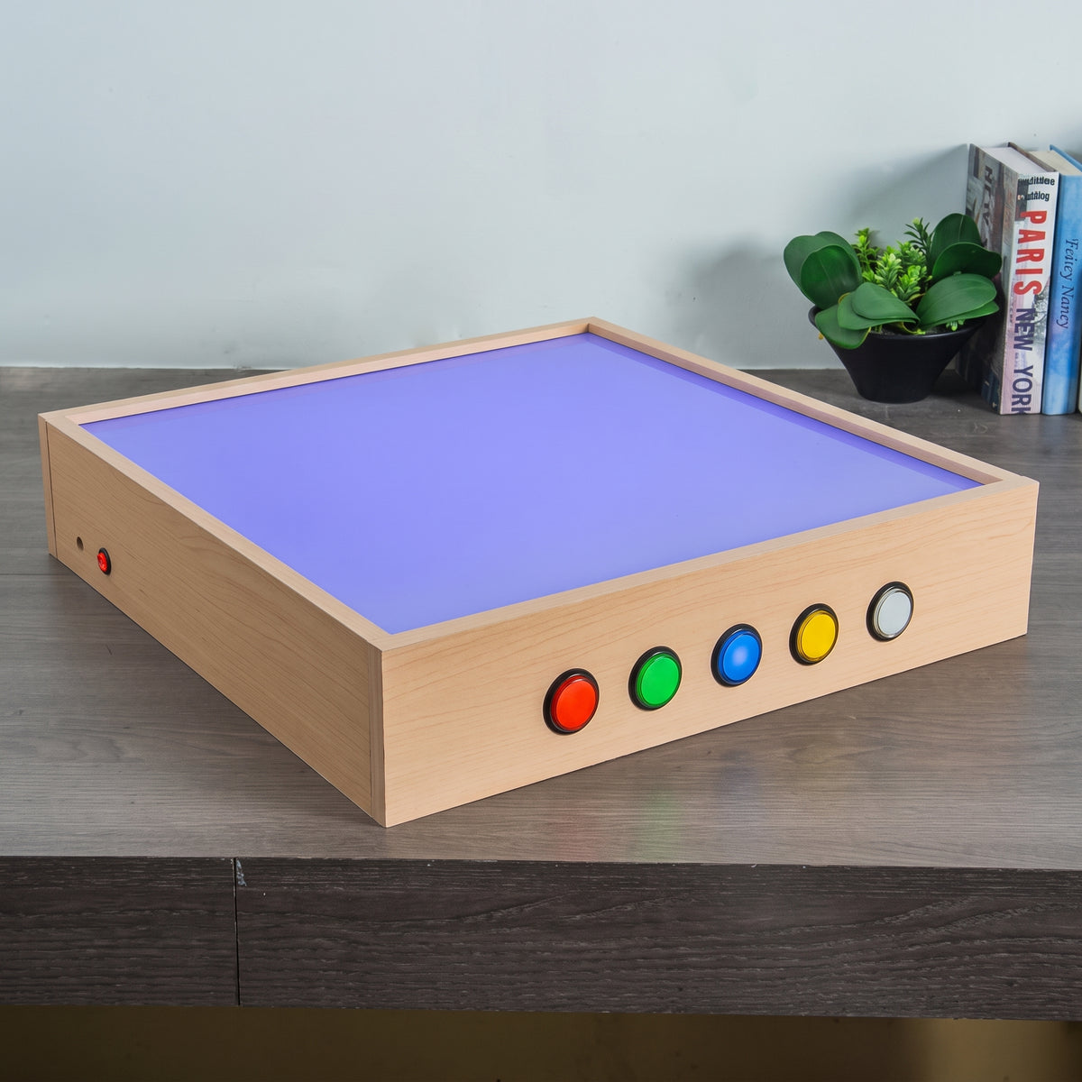 SENSORY LED LIGHT CASE